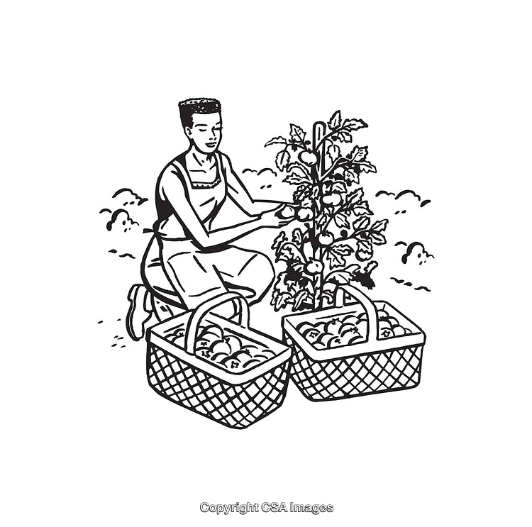 Gardening Activity with Basket Harvest in Black and White Illustration