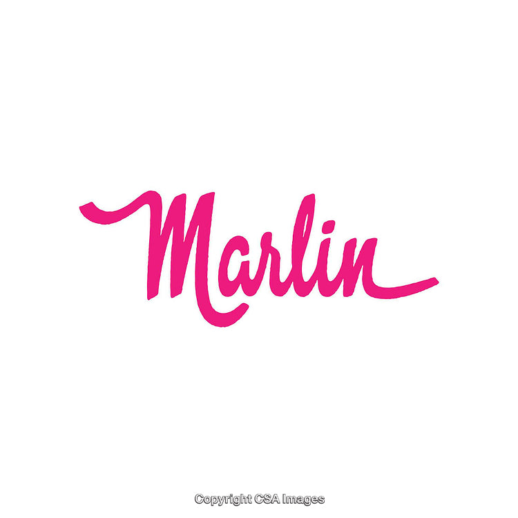 Pink Script Word Logo on a White Background