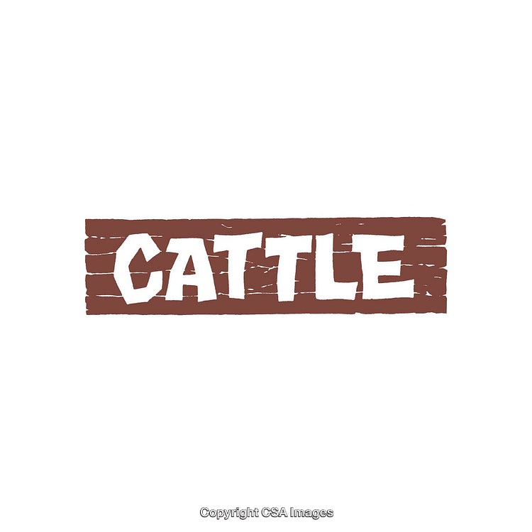 Rustic Brown Stenciled Cattle Text on a White Background