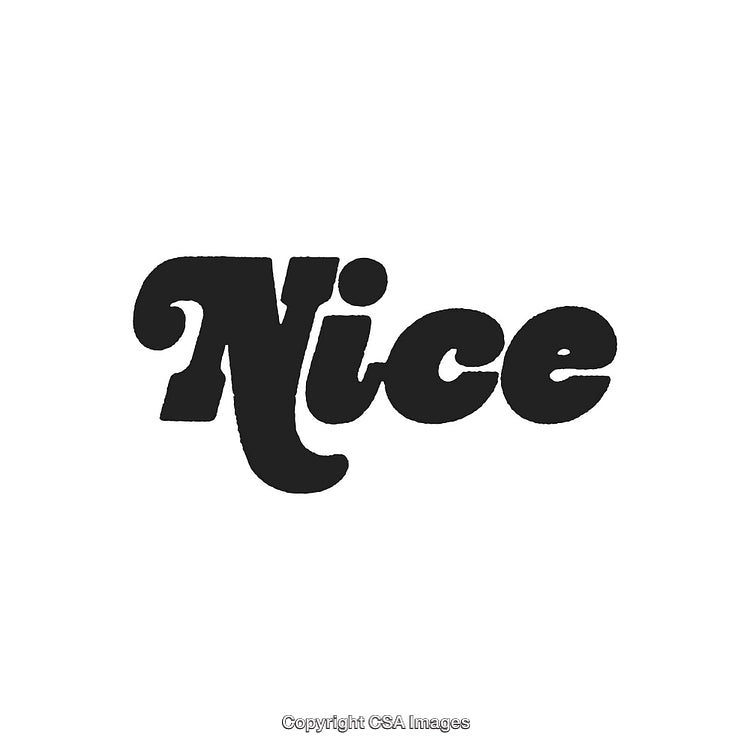 Minimalist Typography Artwork Depicting The Word 'Nice' in Black Text