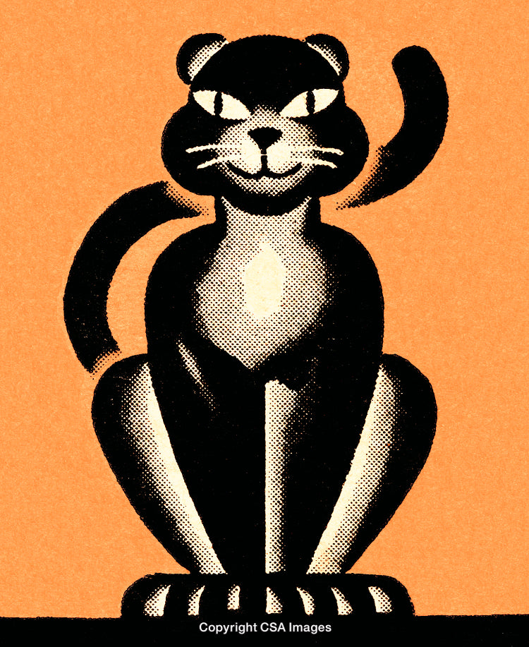 Illustration of a Black Cat on an Orange Background