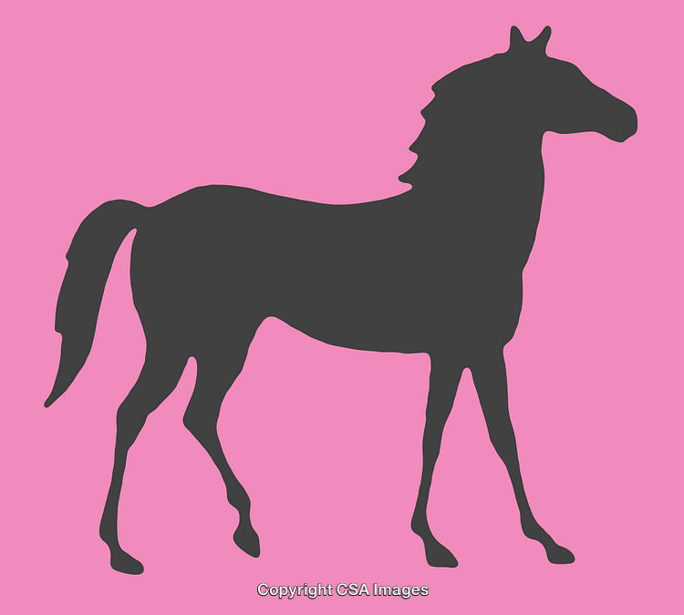 Silhouette of a Graceful Horse Against a Vibrant Pink Background