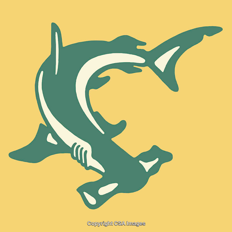 Minimalist Hammerhead Shark Illustration with Yellow Background