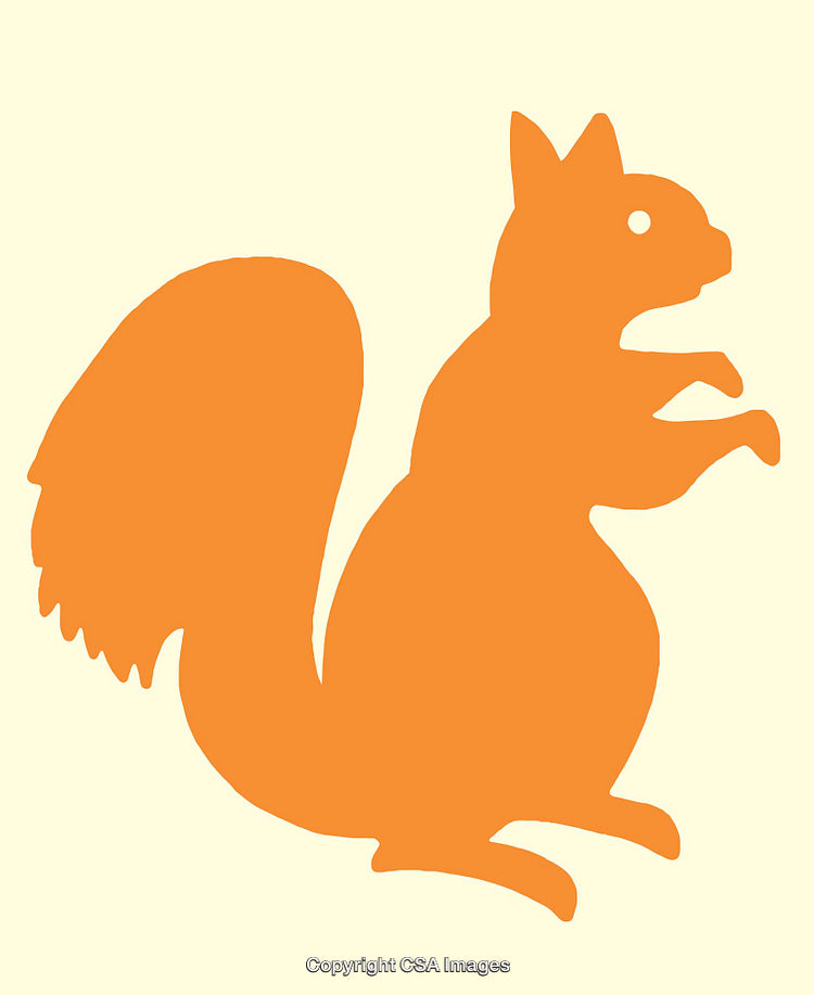Orange Silhouette of a Squirrel on a Light Background