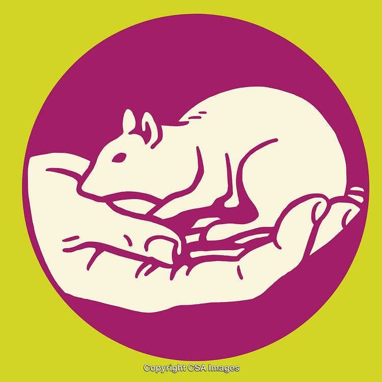 Illustration of a Mouse Resting in a Hand for Compassion Concept