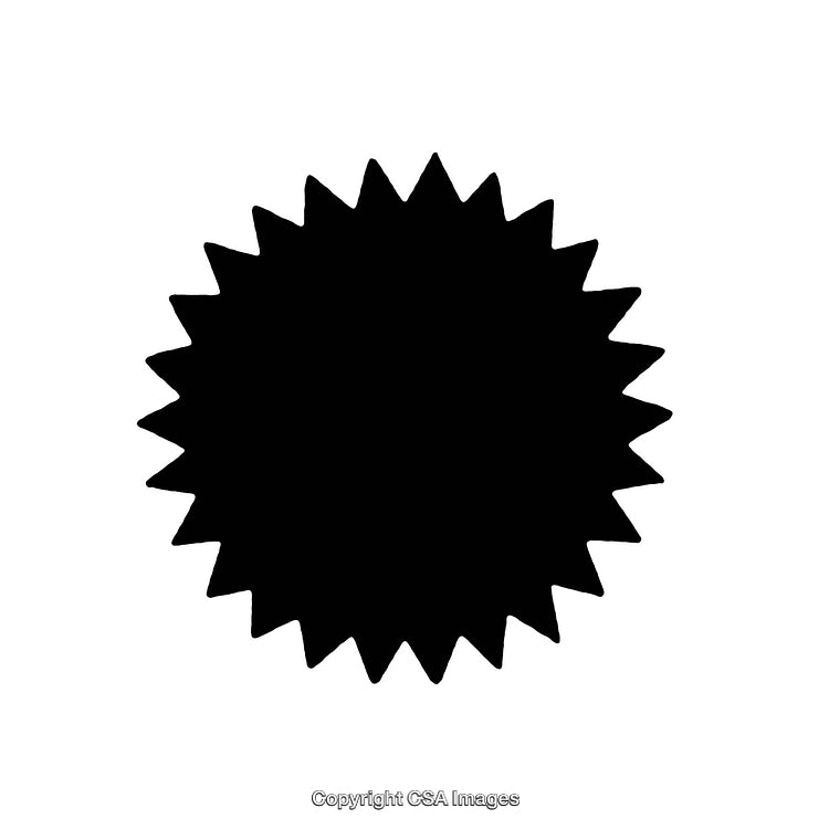 Black and White Sunburst Icon on White Background