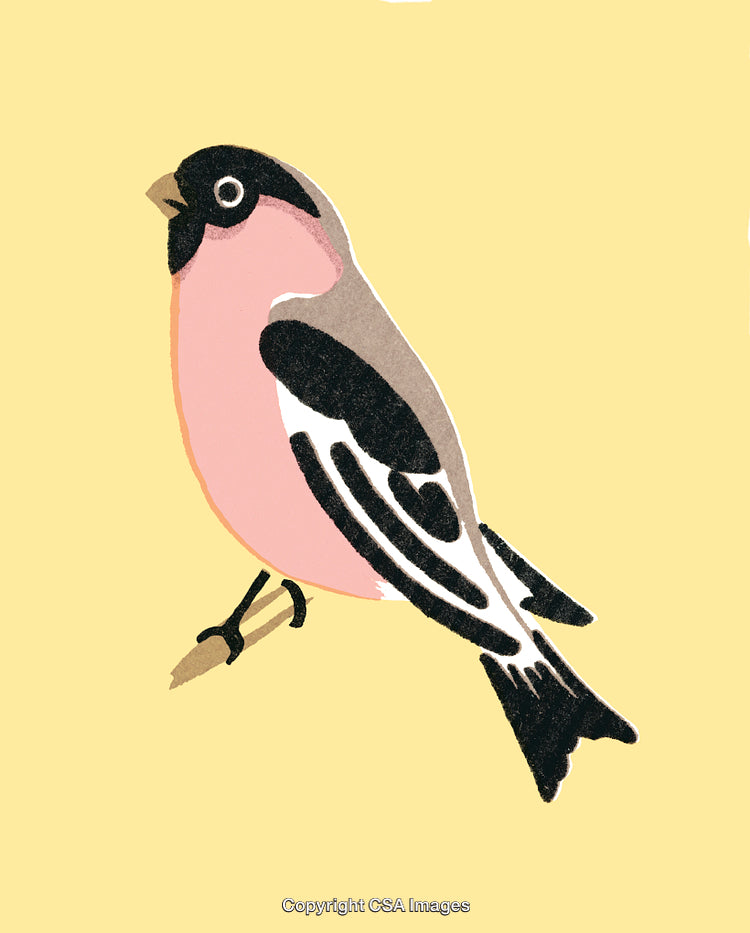 Illustration of a Colorful Bird on a Soft Yellow Background