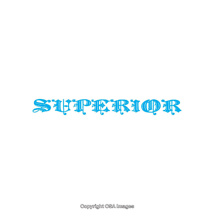 Blue Ornate Text Reading Superior on White Background