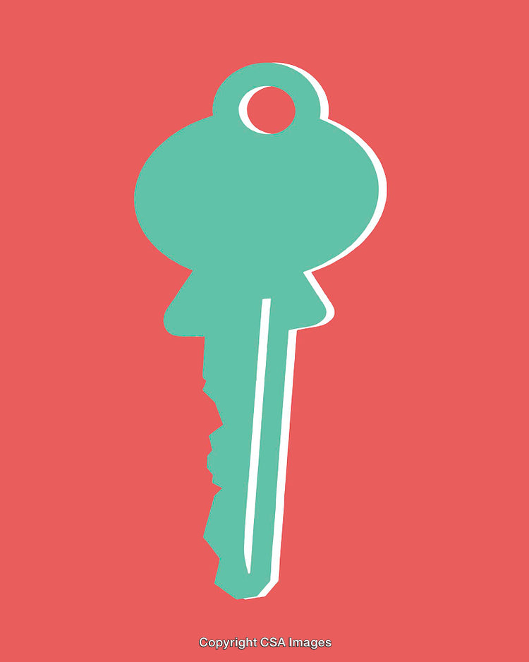 Minimalist Line Art Illustration of a Key on a Vibrant Background