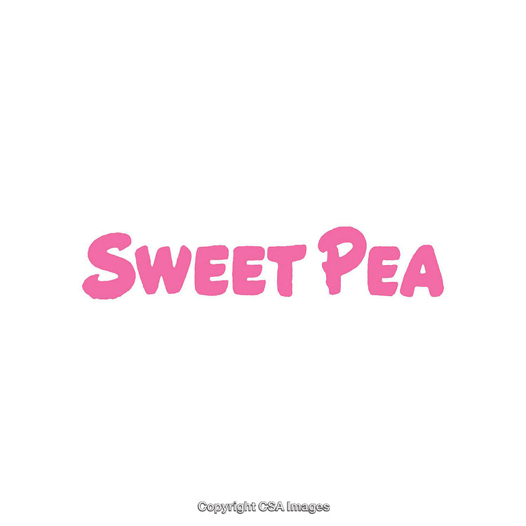 Pink Sweet Pea Word Design on a White Background