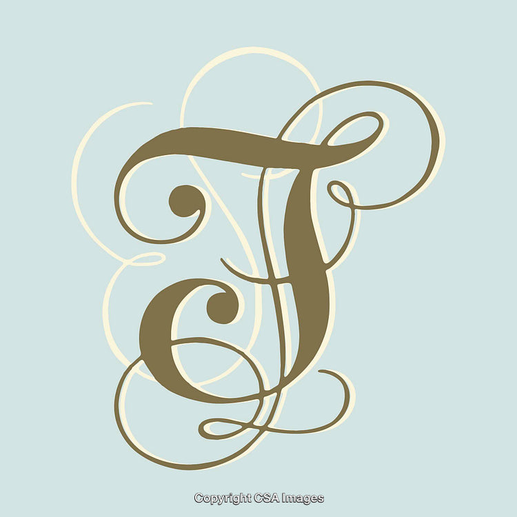 Elegant Decorative Letter T Monogram with Flourishes on Light Background