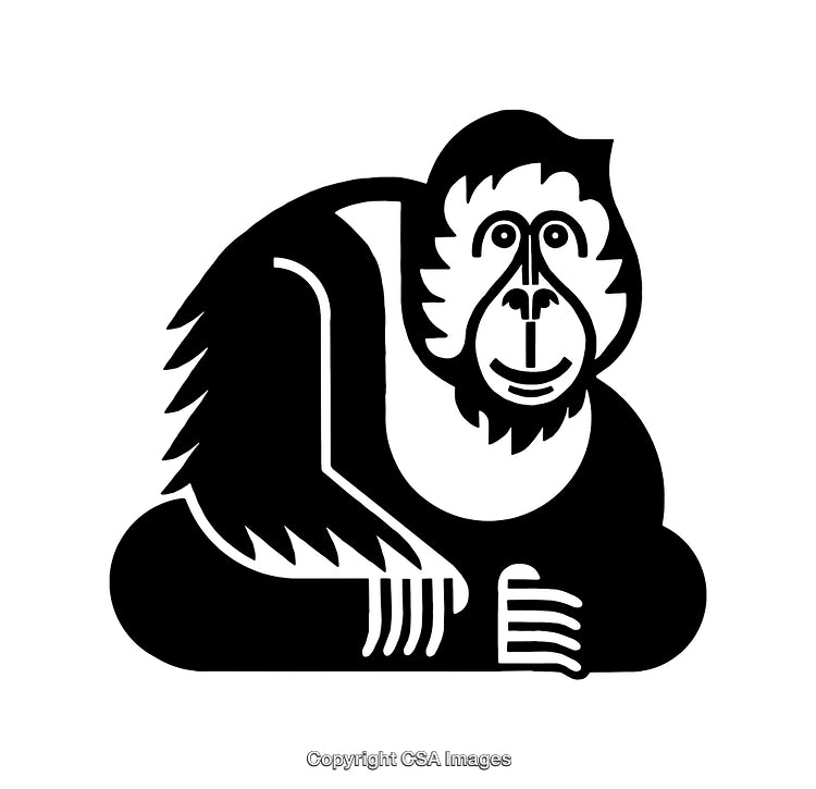 Stylized Black and White Monkey Line Art Design Illustration