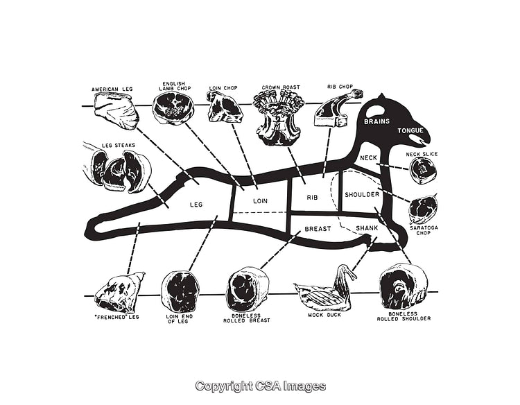 Detailed Black and White Diagram Illustrating Cuts of Lamb Meat