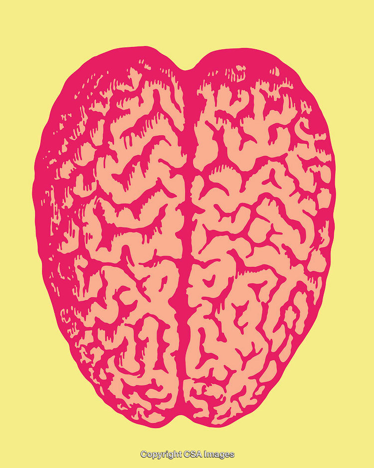 Vivid Pink Brain Illustration on Yellow Background in Line Art Style