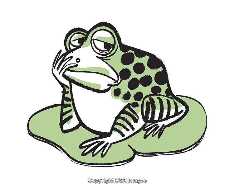 Cartoon Frog Relaxing on a Lily Pad in Contemplation