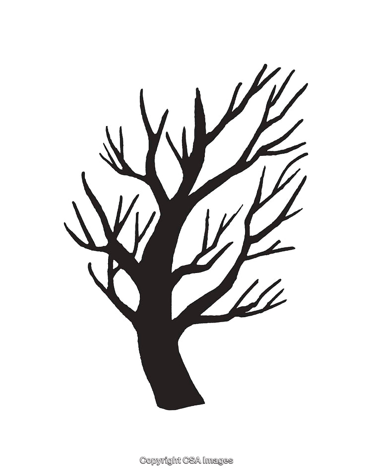 Silhouette of a Bare Tree in Minimalist Black and White Art
