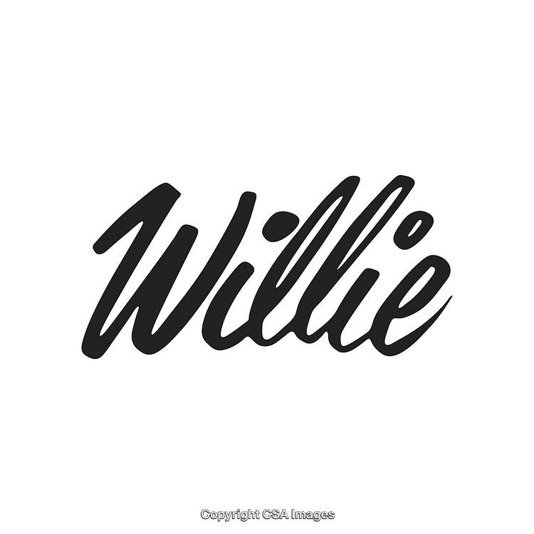 Stylized Black Script Font with Willie Written on White Background