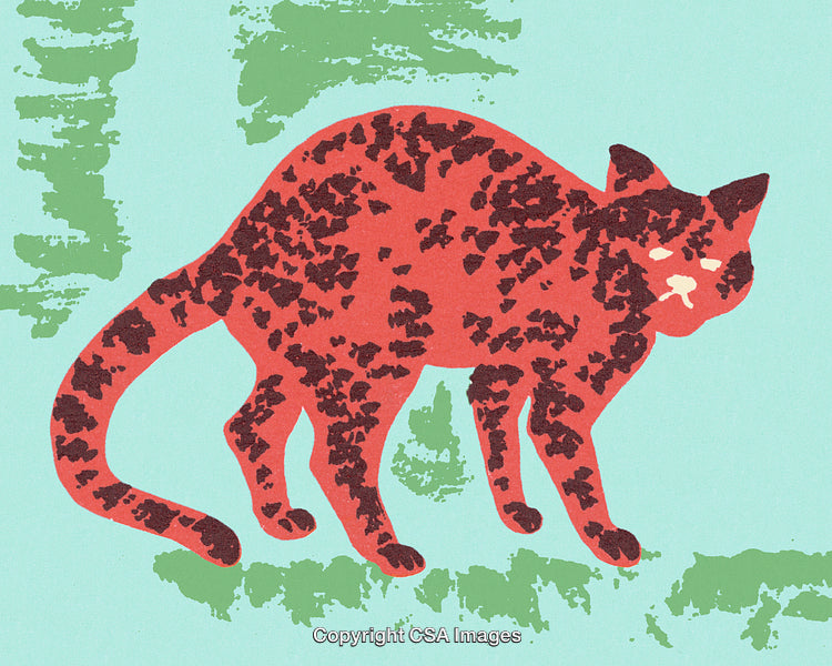 Illustrated Red Cat With Textured Patterns on a Vibrant Abstract Background