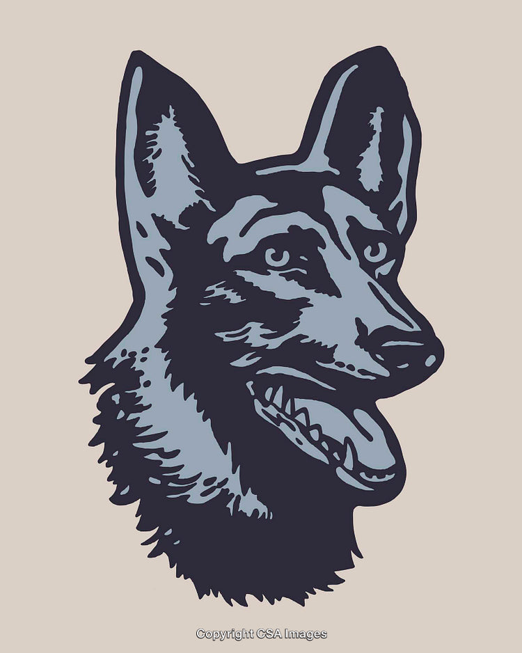 Stylized Line Art Illustration of a German Shepherd Dog Head