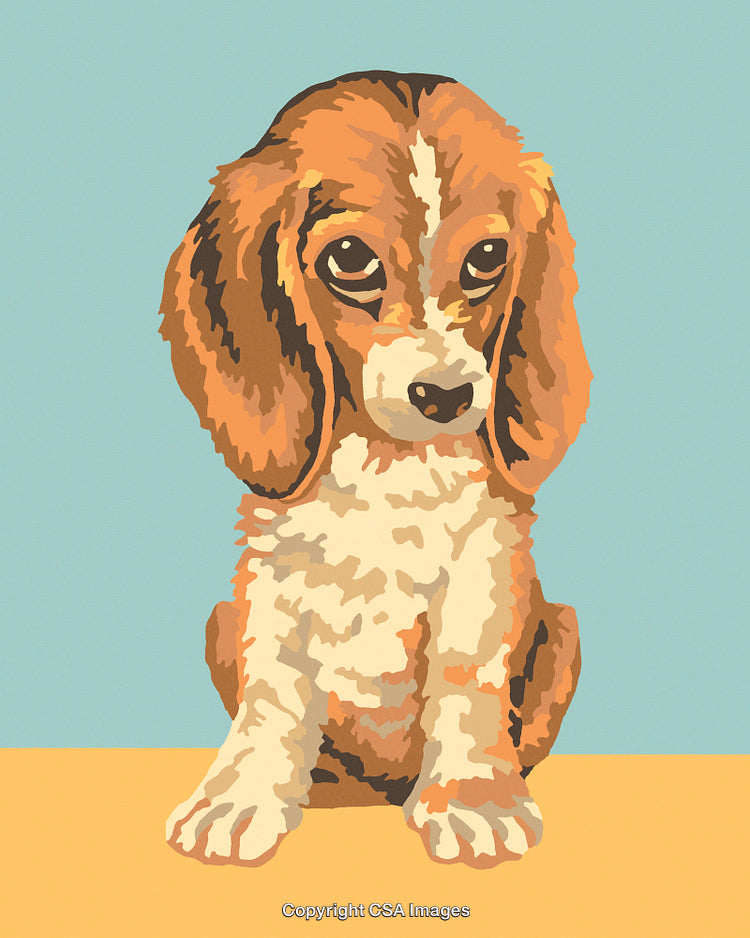 Illustration of a Cute Beagle Puppy in Paint by Numbers Style