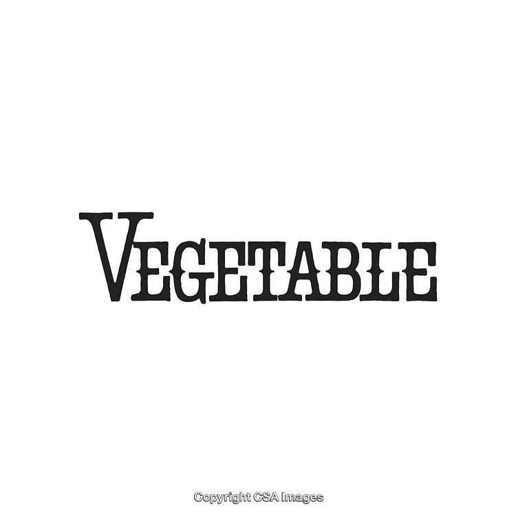 Black Typeface Showing the Word 'Vegetable' Isolated on White Background