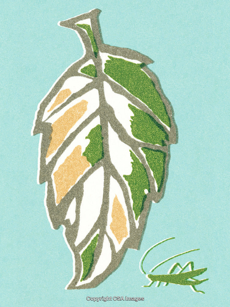 Illustration of a Colorful Leaf with Tiny Grasshopper Detail