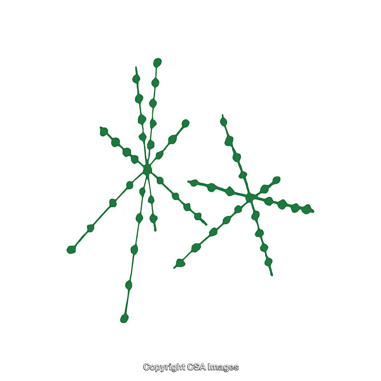 Abstract Green Geometric Design on a White Background