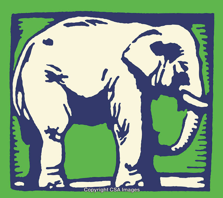 Colorful Line Art Elephant Illustration in Bold Artistic Style