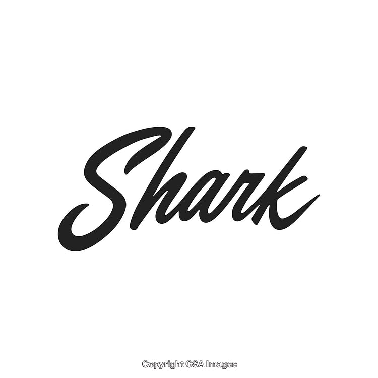 Black Text Design Displaying the Word 'Shark' in a Stylish Font