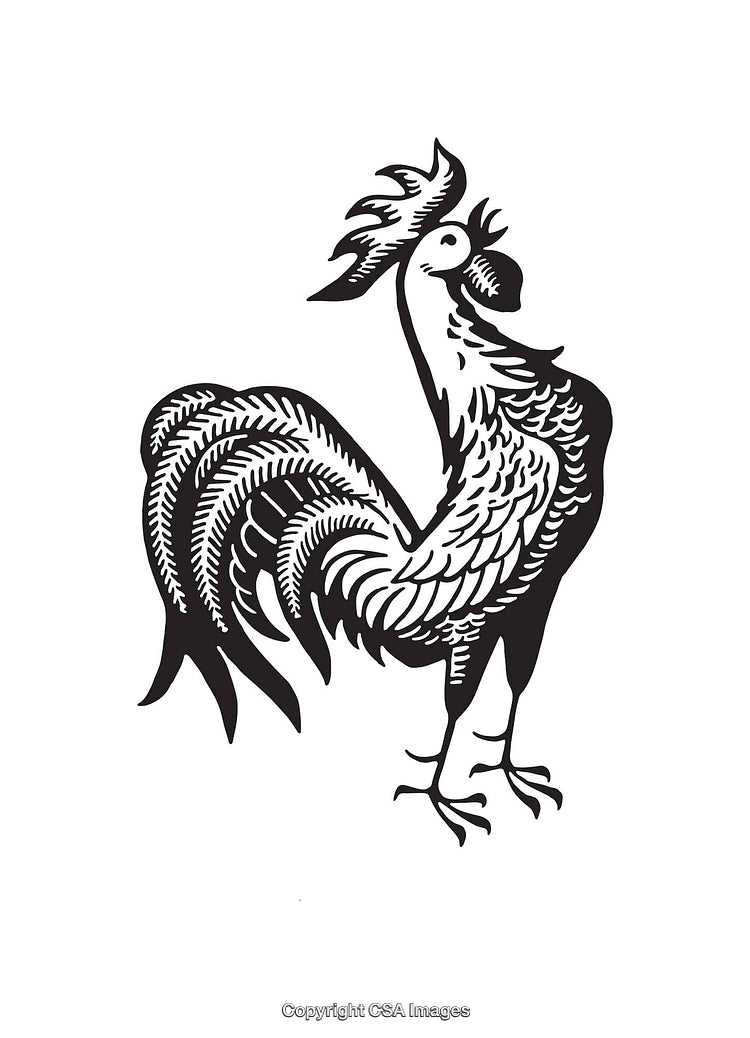 Black and White Line Art Illustration of a Proud Rooster
