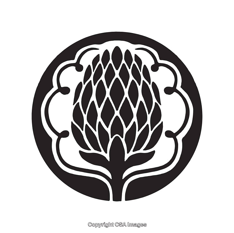 Monochrome Artichoke Line Art Logo Design Illustration