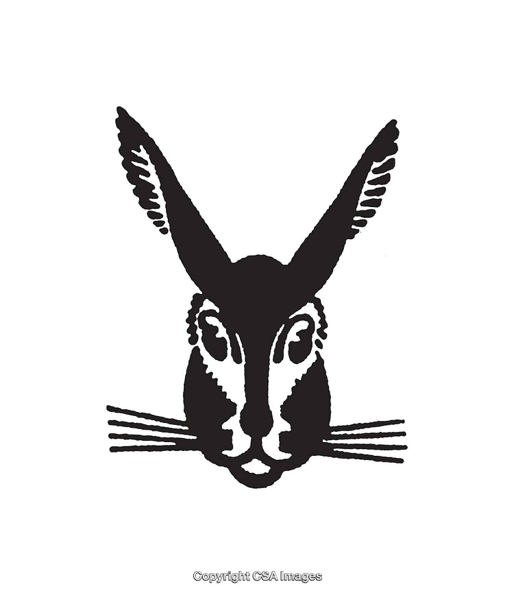 Stylized Black and White Illustration of a Hare's Face