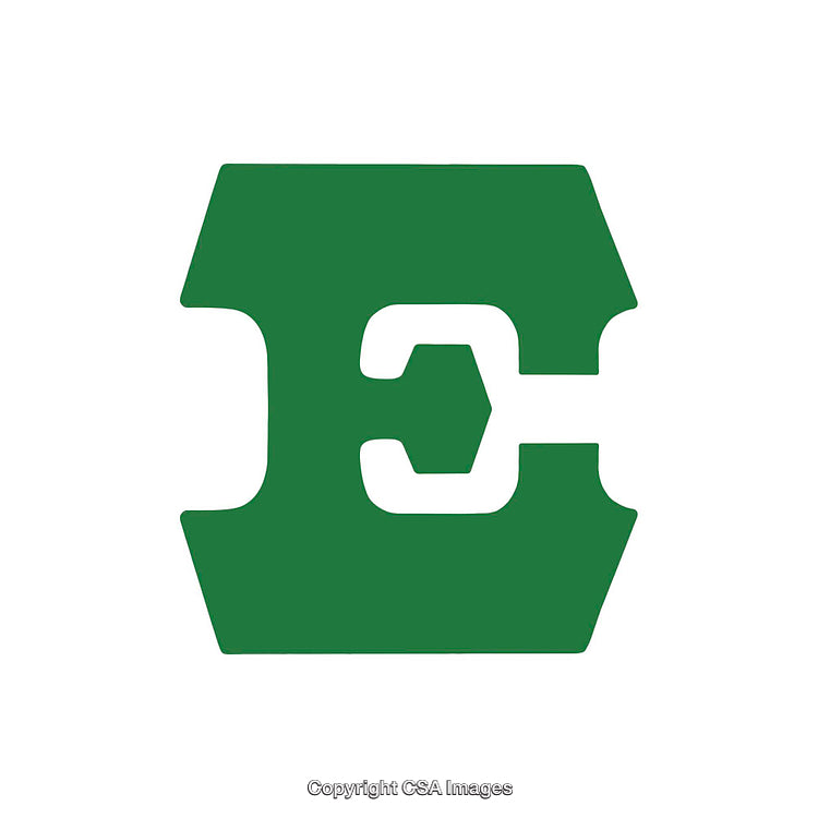 Green Minimalist Letter E Graphic Design Isolated on White Background