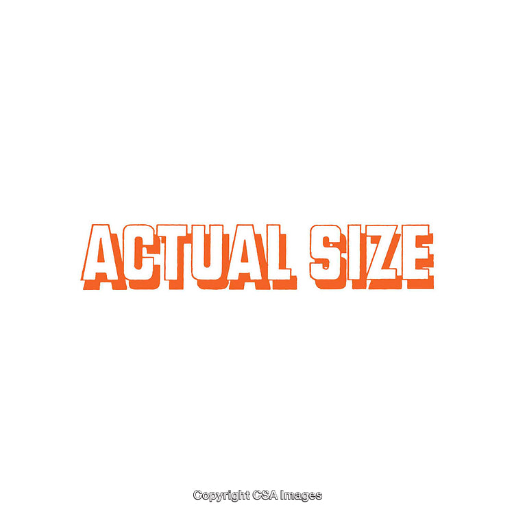 Bright Orange Text Depicting 'Actual Size' on a Clean White Background