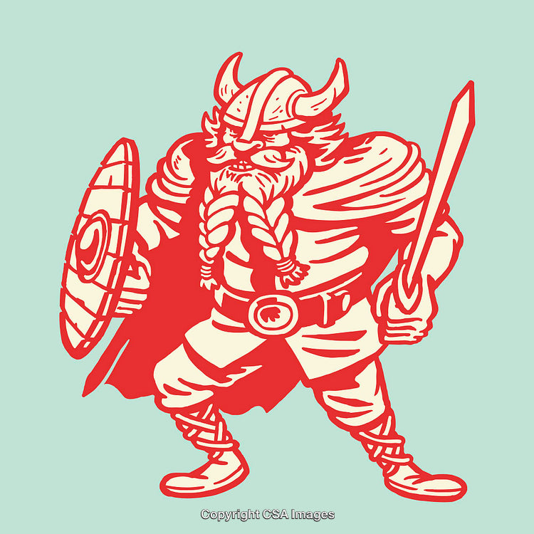 Illustration of a Viking Warrior with Sword and Shield in Bold Colors