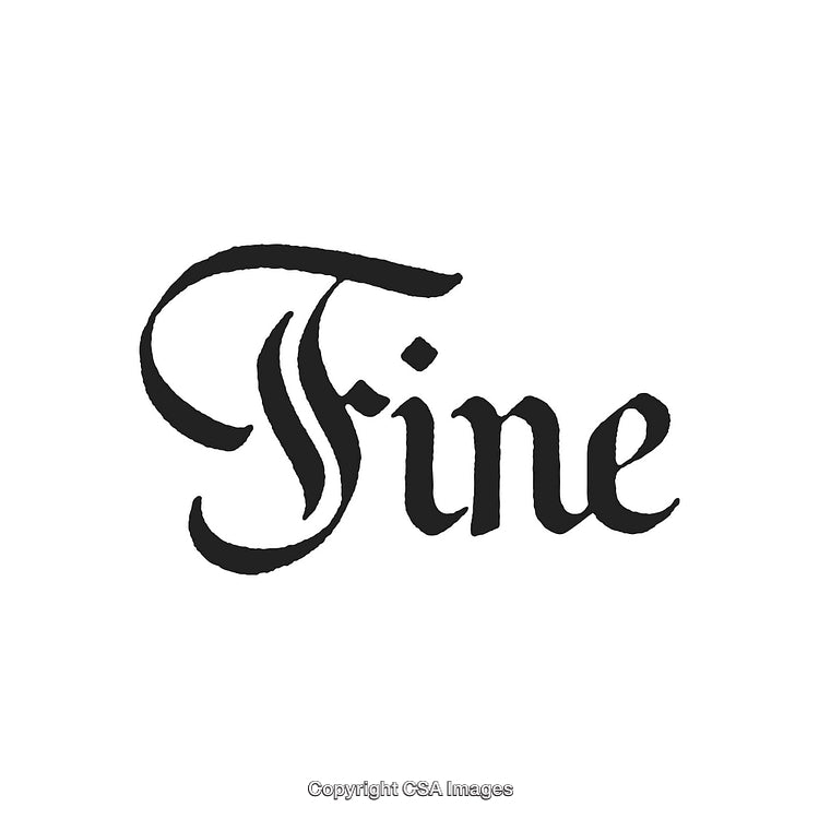 Elegant Calligraphy Inscription Spelling 'Fine' in Classic Black Ink Style