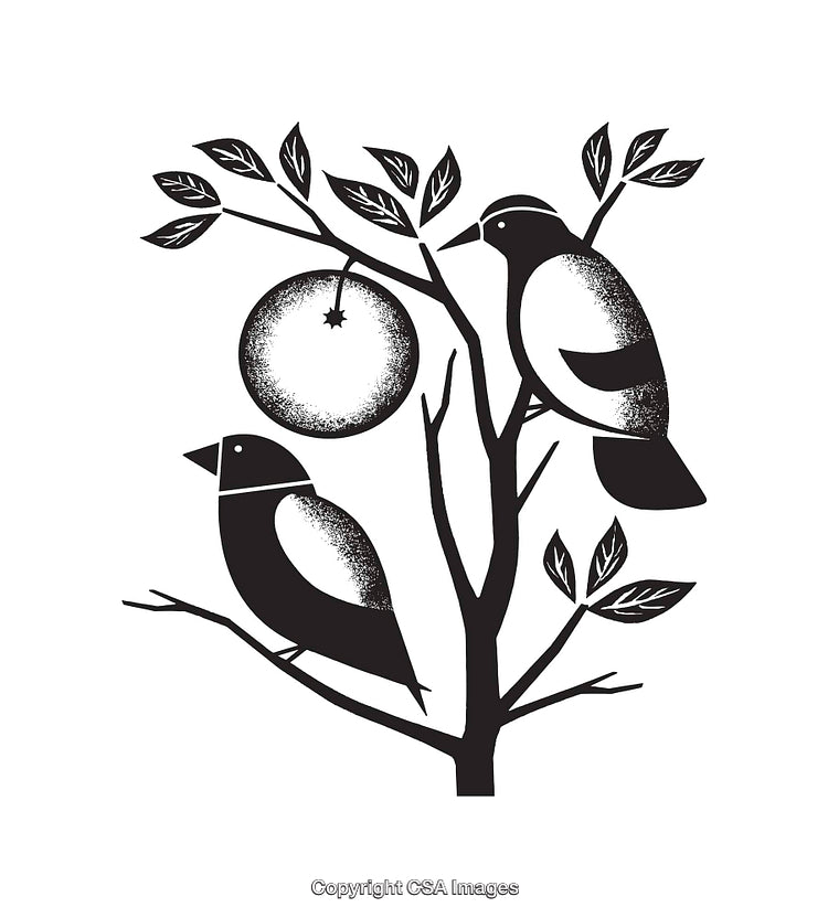Black and White Line Art of Birds on a Tree Branch with Fruit