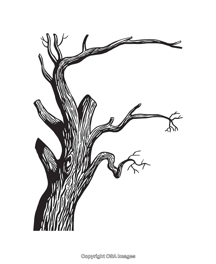 Black and White Line Art of a Bare Tree with Branches