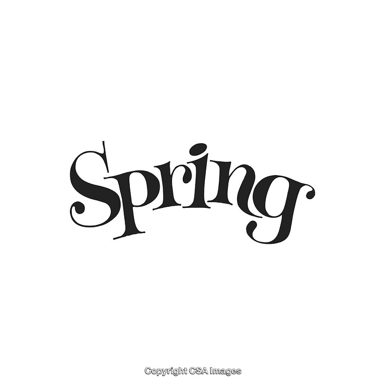 Elegant Handwritten Spring Text Illustration in Stylish Calligraphy