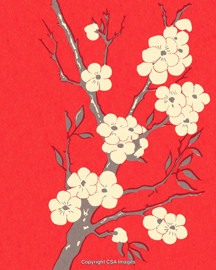 Elegant Illustration of Blossoming Branches on Vibrant Red Background