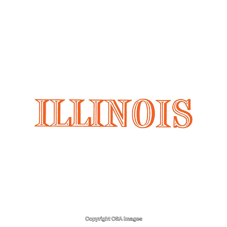 Illinois Sign in Bold Font with Bright Orange Coloring on White Background
