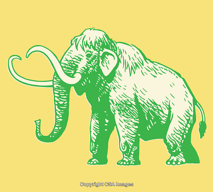 Green Line Art Illustration of a Woolly Mammoth on a Yellow Background