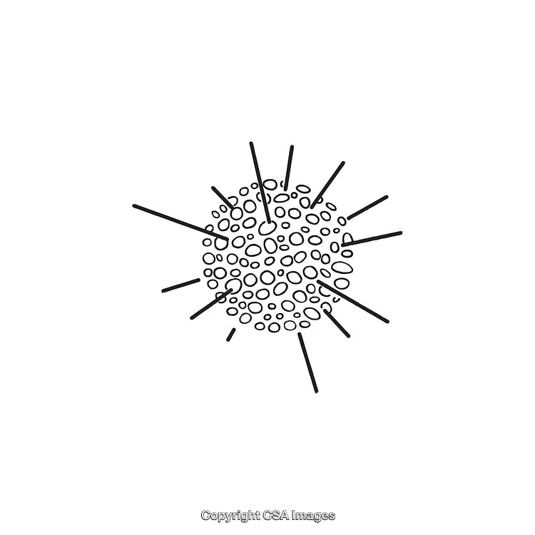 Abstract Black and White Illustration of a Circular Patterned Shape