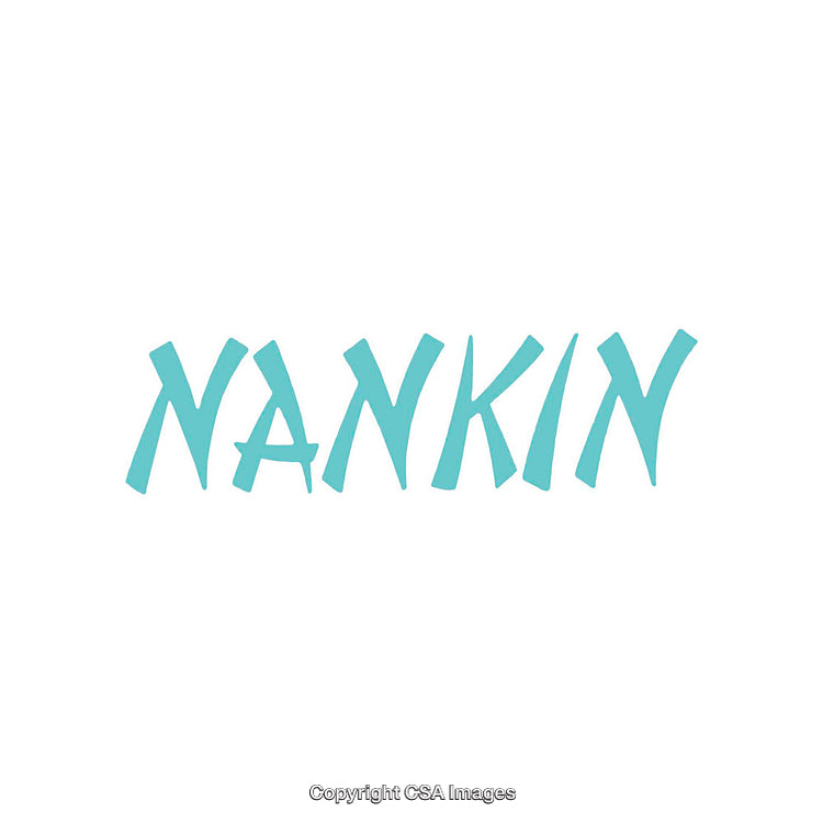 Teal Colored Nankin Letters on Clean White Background