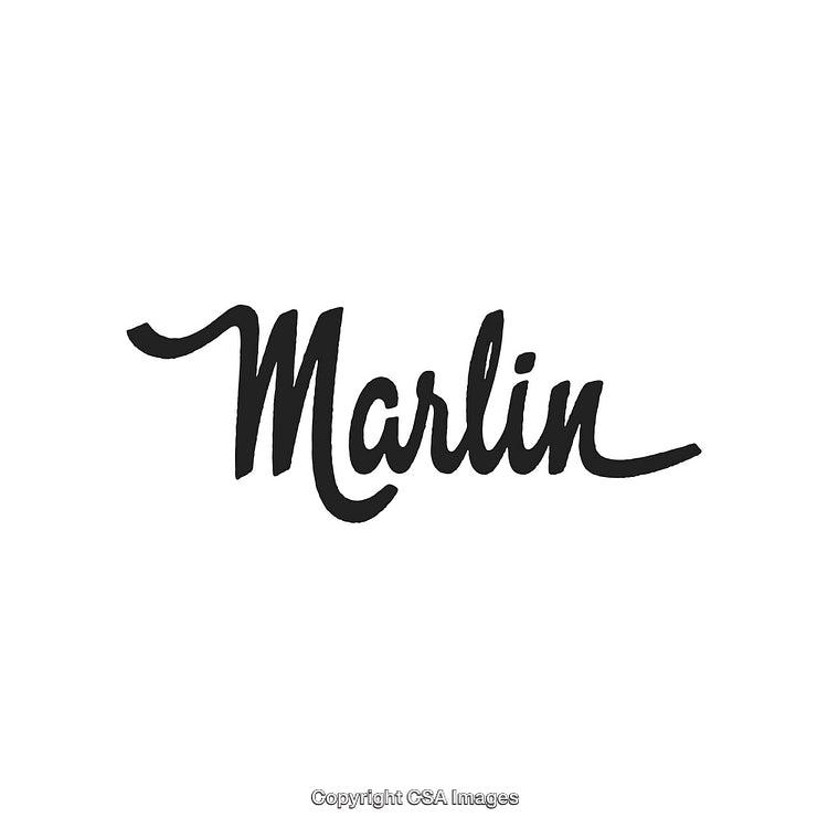Elegant Calligraphy Logo with Scripted Black Text on White Background