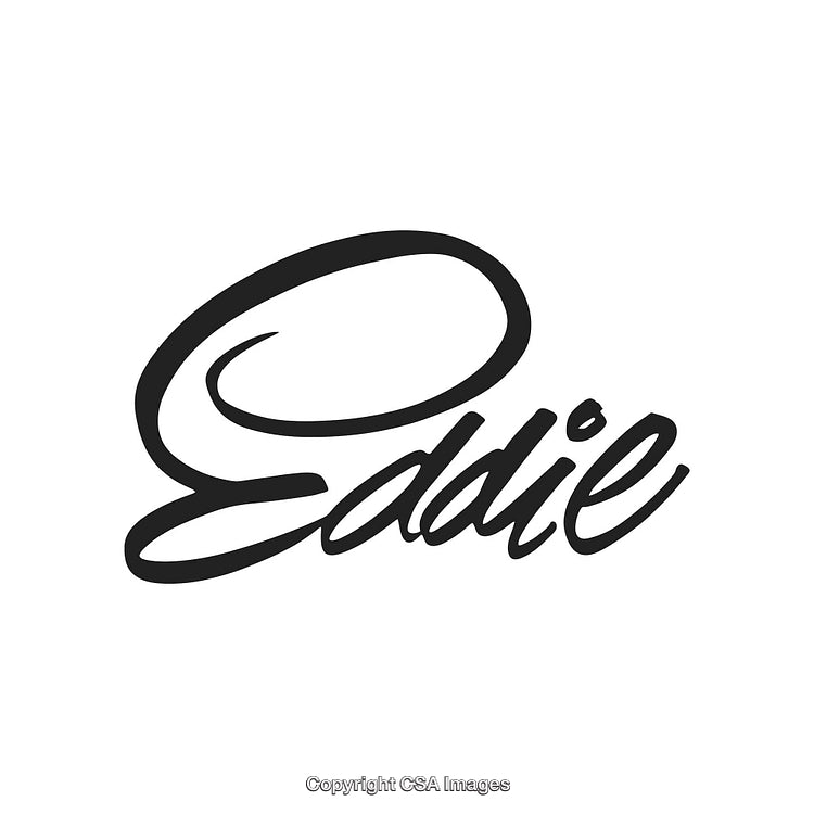 Stylized Handwritten Text Logo with Elegant Cursive Font Design on White