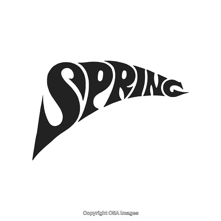 Stylized Spring Text in a Modern and Artistic Graphic Design