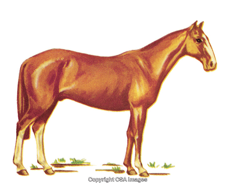 Illustrated Representation of a Standing Brown Horse in Vintage Style