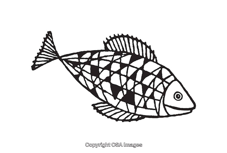 Black and White Line Art Illustration of a Fish with Geometric Patterns