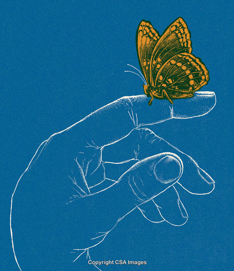 Illustration of Butterfly Resting on Finger With Detailed Hand Line Art